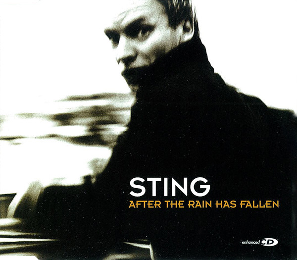 Sting After the Rain Has Fallen cover artwork