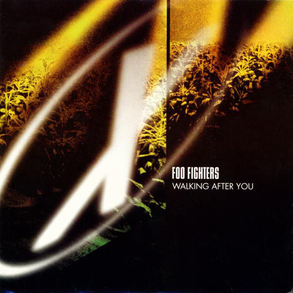 Foo Fighters — Walking After You cover artwork