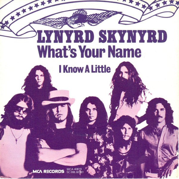 Lynyrd Skynyrd — What&#039;s Your Name cover artwork