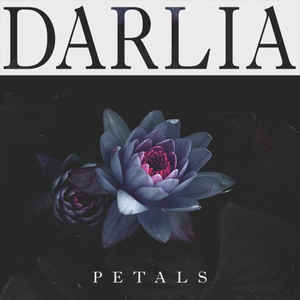 Darlia Petals cover artwork