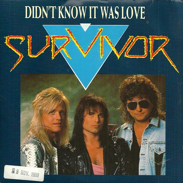 Survivor — Didn&#039;t Know It Was Love cover artwork