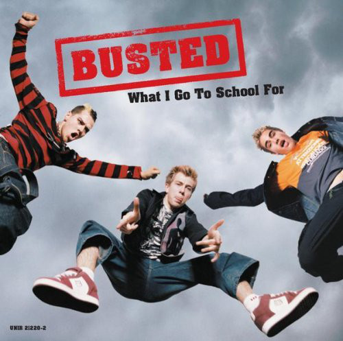 Busted — What I Go To School For cover artwork