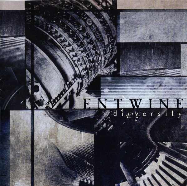 Entwine Dieversity cover artwork