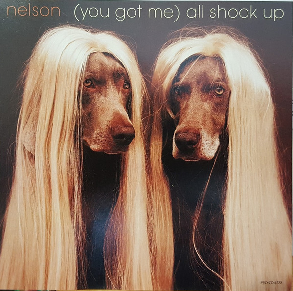 Nelson — (You Got Me) All Shook Up cover artwork