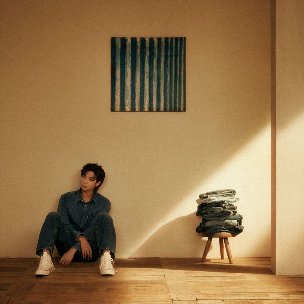 RM — Indigo cover artwork