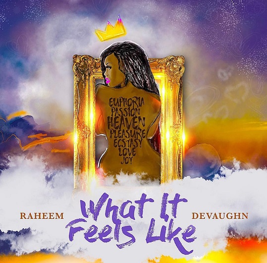 Raheem DeVaughn What It Feels Like cover artwork