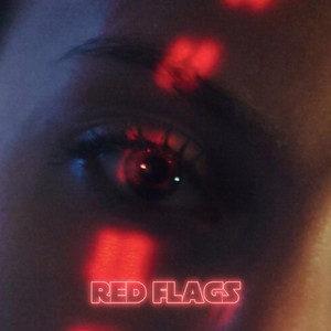 Gomey & Xuitcasecity — Red Flags cover artwork