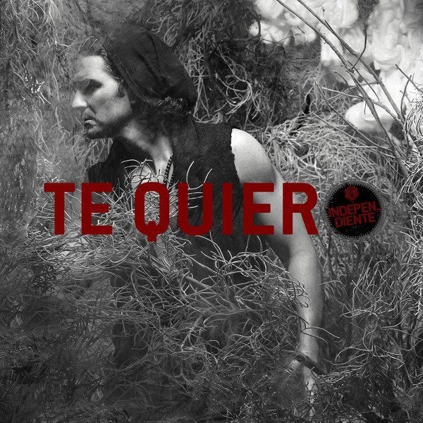 Ricardo Arjona — Te Quiero cover artwork