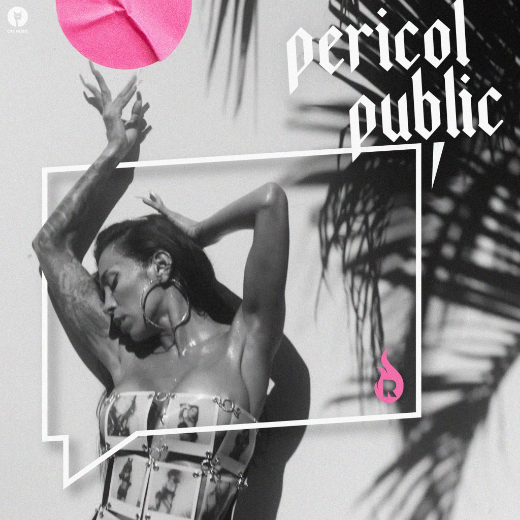 Ruby — Pericol Public cover artwork