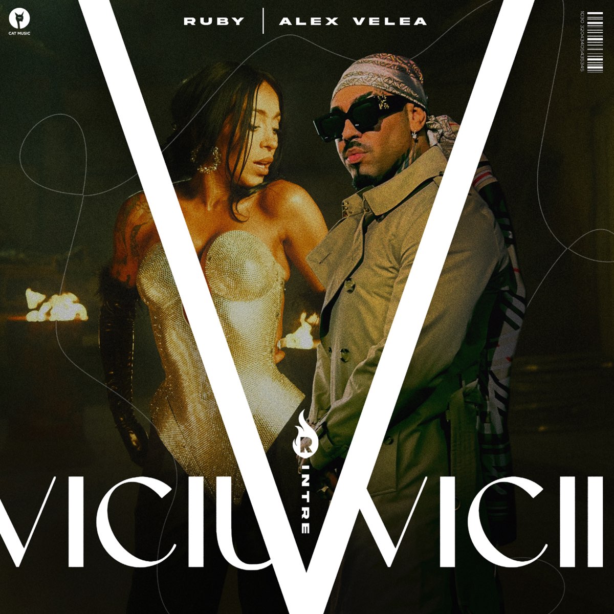 Ruby ft. featuring Alex Velea Viciu Între Vicii cover artwork