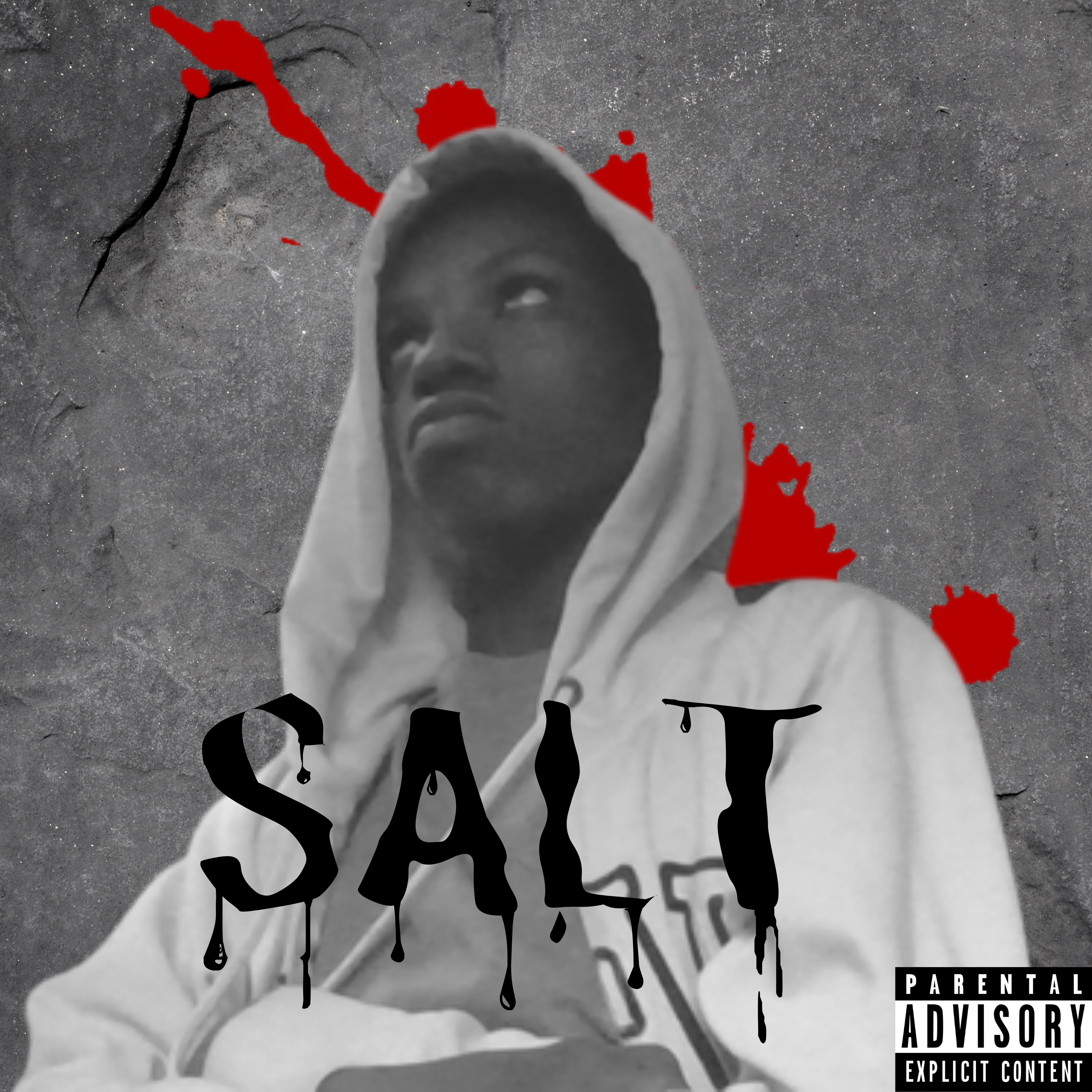 Cameron Reid — SALT cover artwork