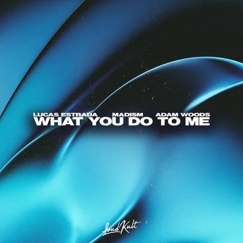 Lucas Estrada, Madism, & Adam Woods — What You Do To Me cover artwork