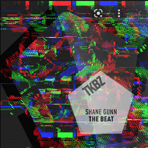 SHANE GUNN — The Beat cover artwork
