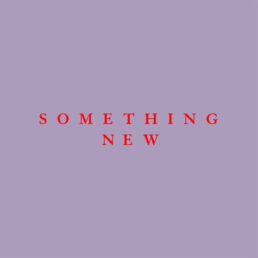 GOOSE — Something New cover artwork