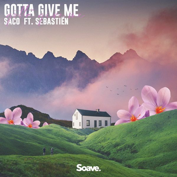 Saco featuring Sebastiën — Gotta Give Me cover artwork
