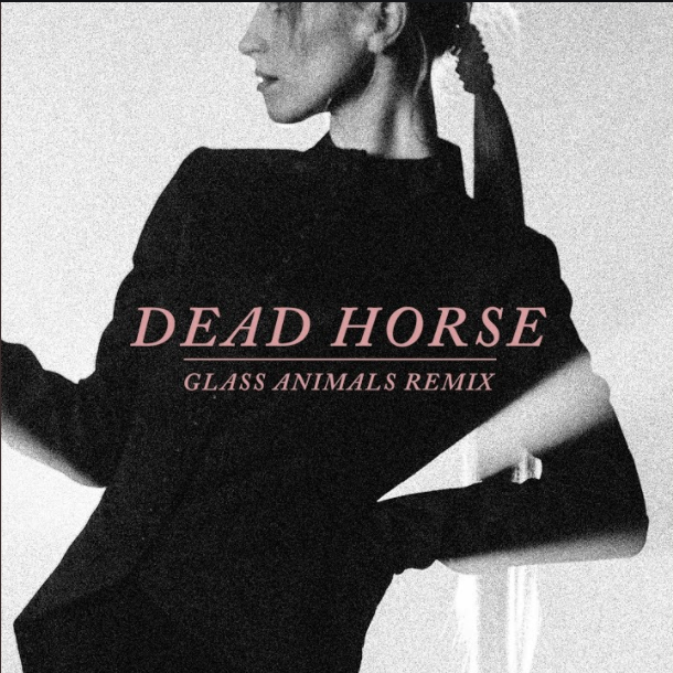 Hayley Williams Dead Horse - Glass Animals Remix cover artwork