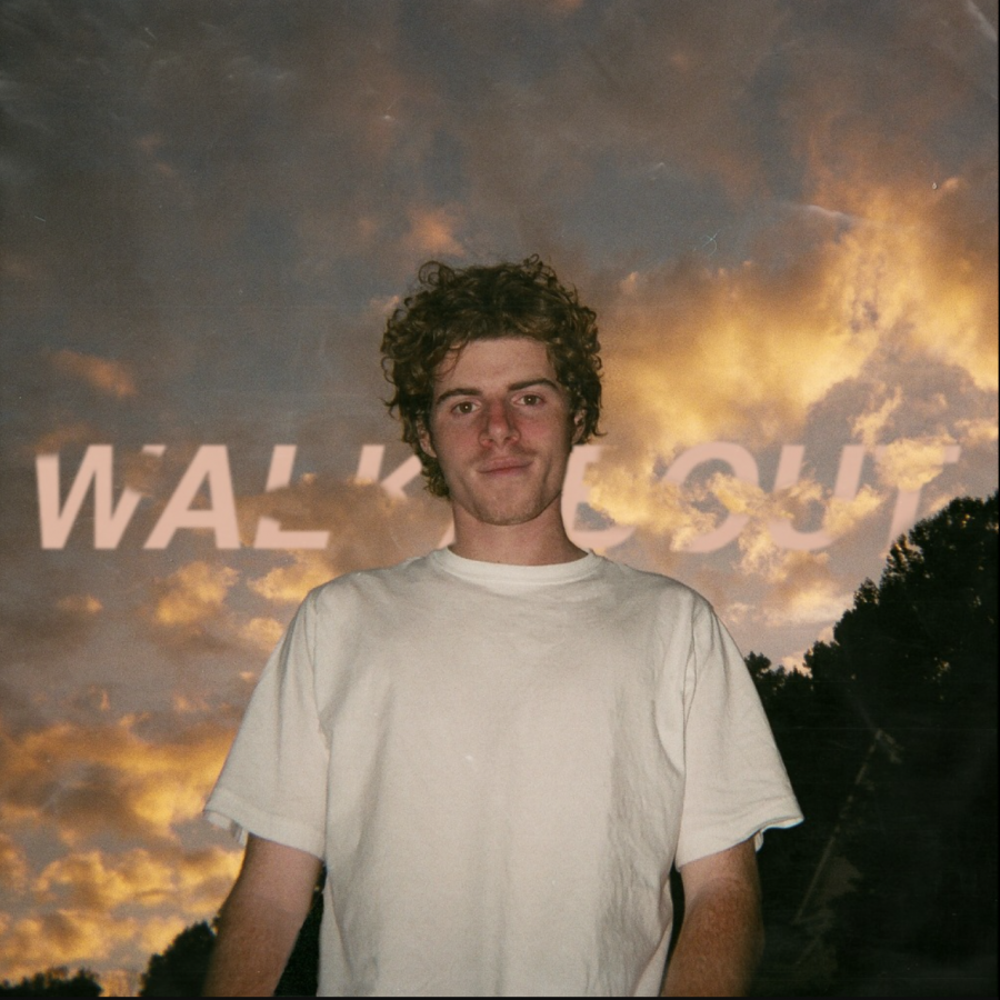 Walkabout — skyisfalling cover artwork