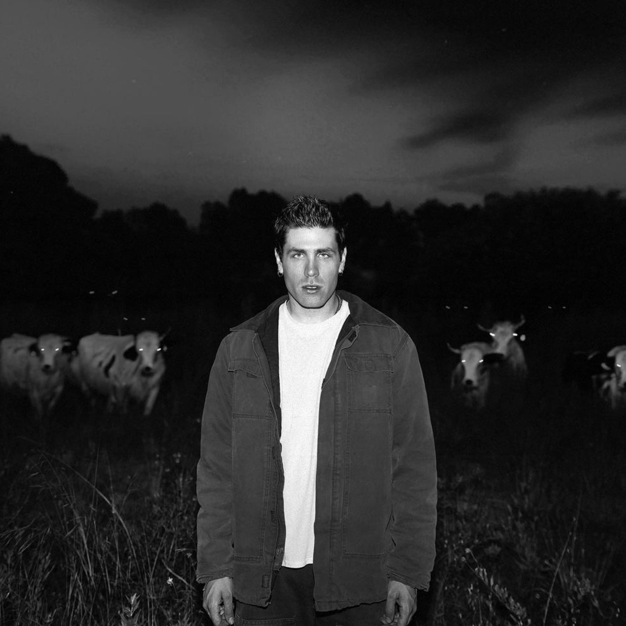 Zach Palmer — the cattle cover artwork