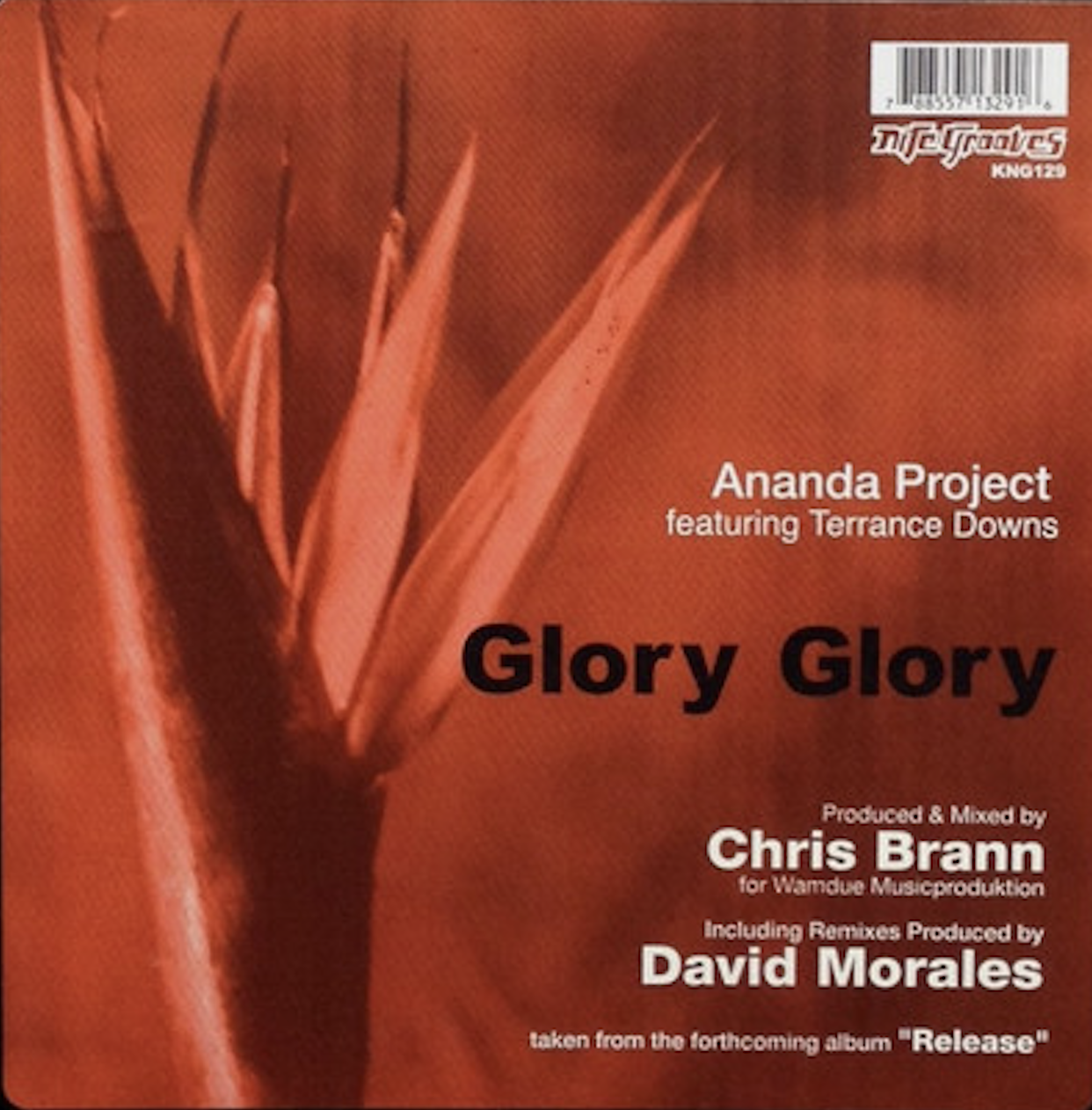 Ananda Project featuring Terrance Owens — Glory Glory (David Morales Remix) cover artwork