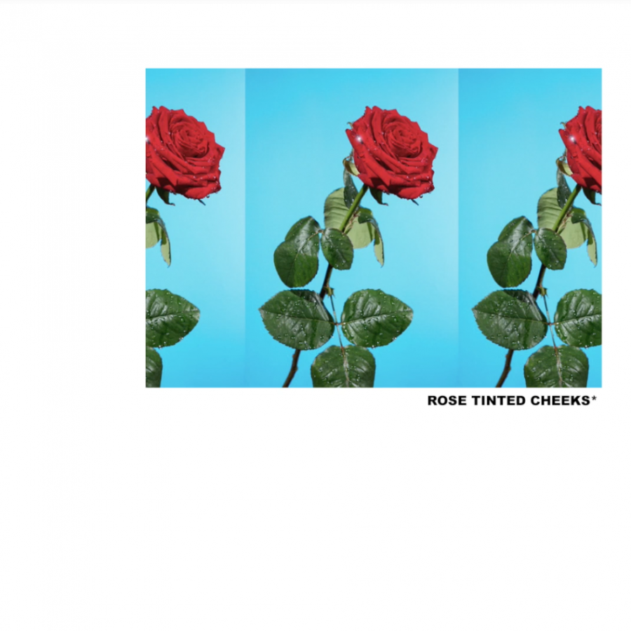 Tyler, The Creator Rose Tinted Cheeks cover artwork
