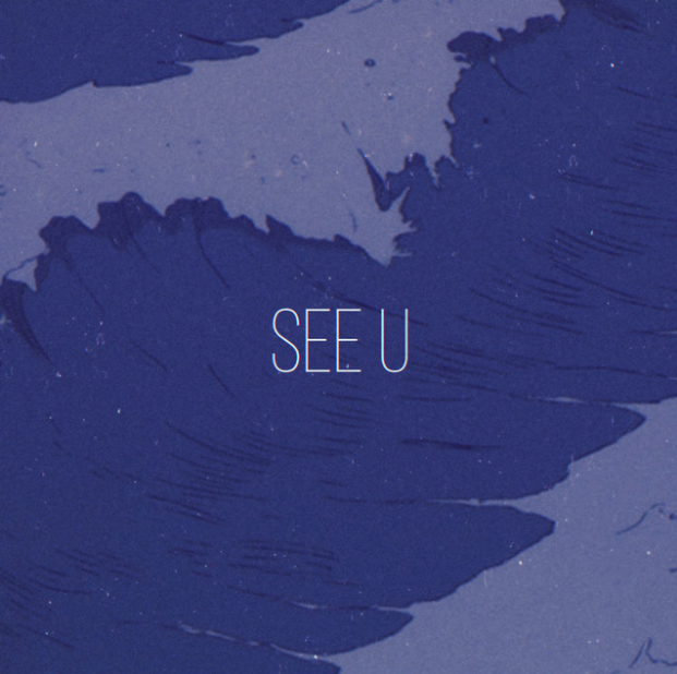 Zetuv — See U cover artwork