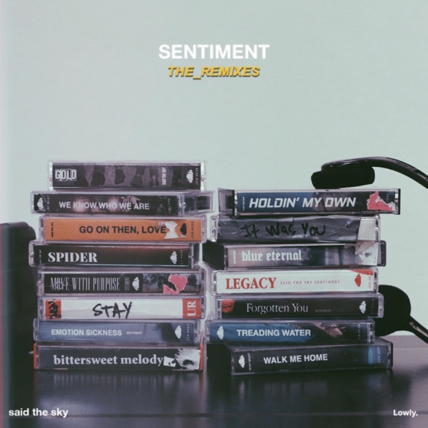 Said the Sky Sentiment (The Remixes) cover artwork