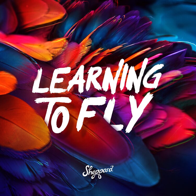 Sheppard — Learning to Fly cover artwork