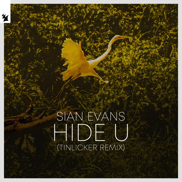 Sian Evans — Hide U (Tinlicker Remix) cover artwork