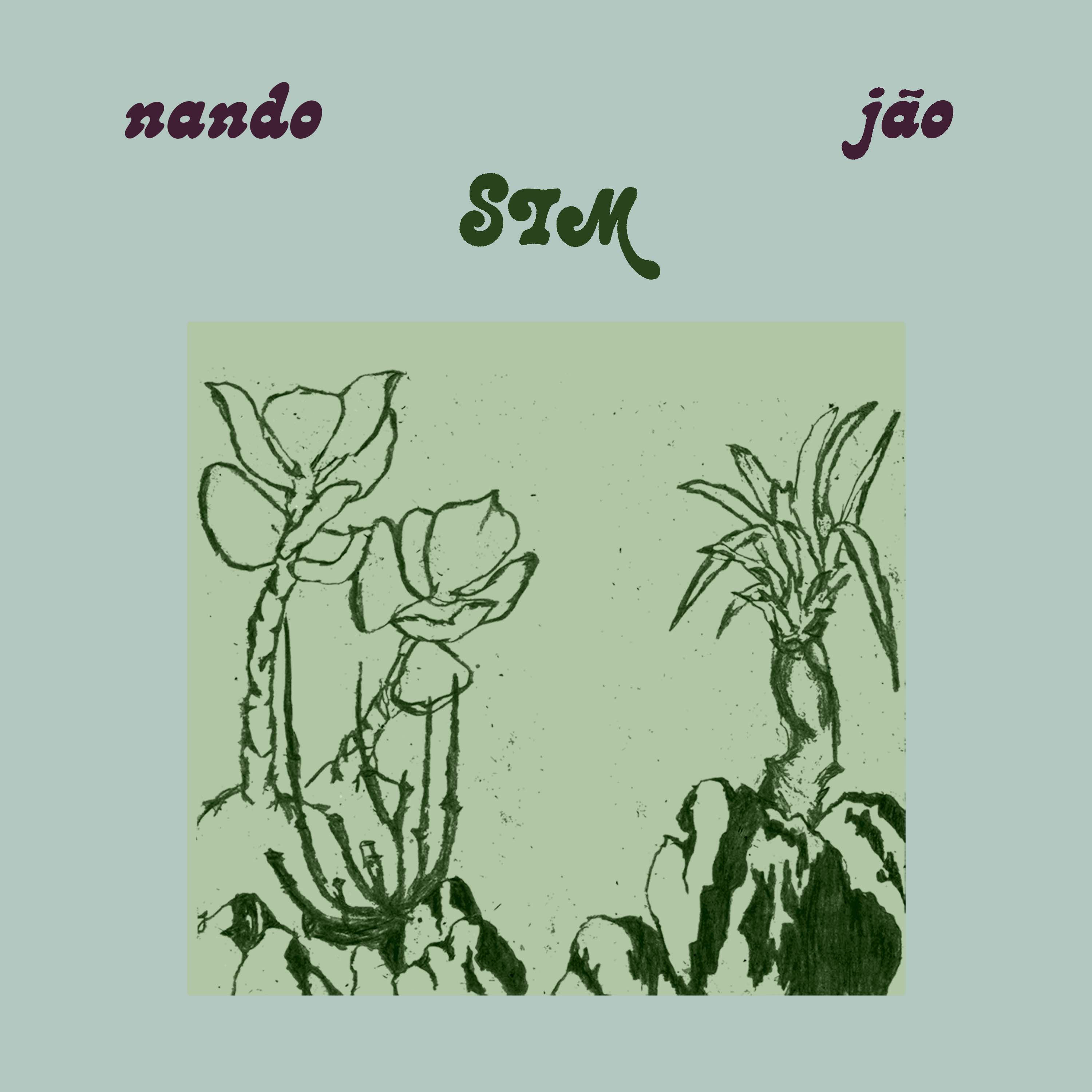 Nando Reis & Jão — Sim cover artwork
