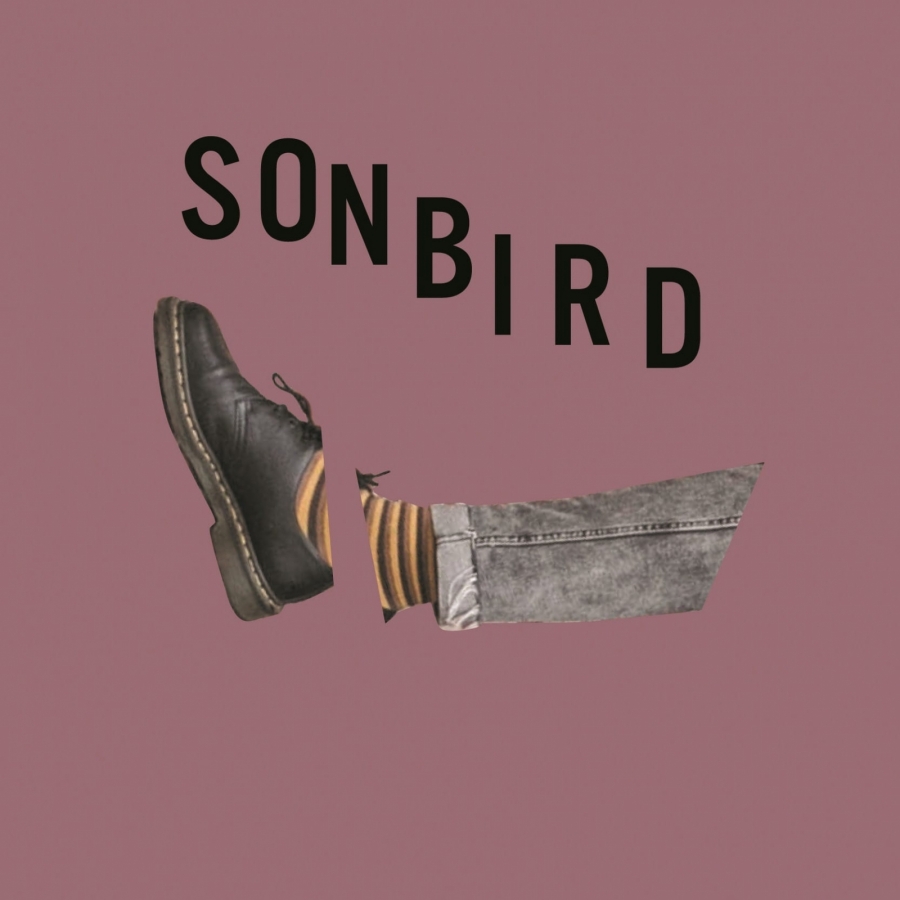Sonbird Głodny cover artwork