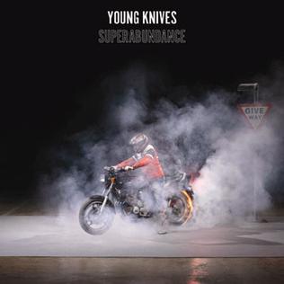 The Young Knives Superabundance cover artwork