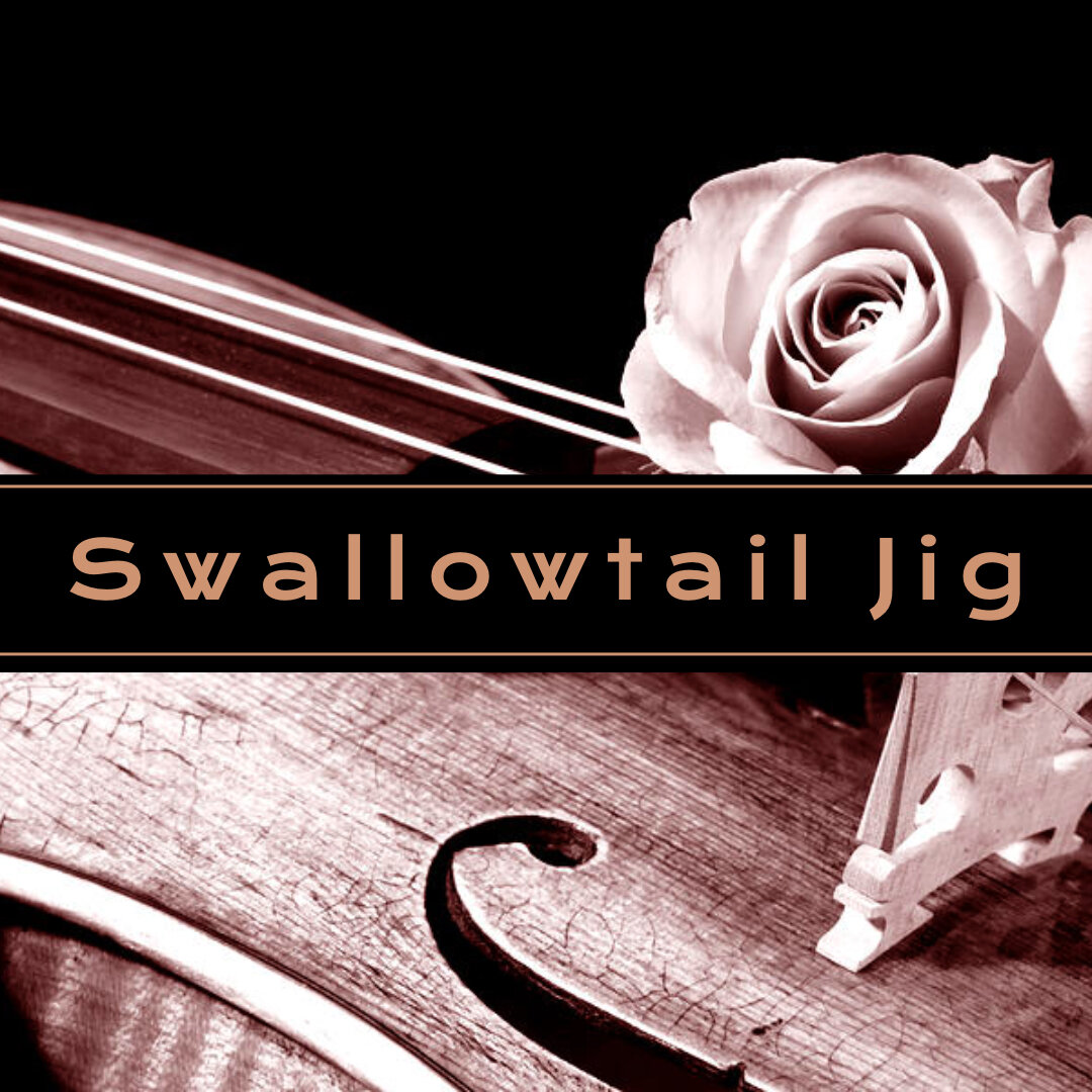 Sea Shanty Traditional The Swallowtail Jig cover artwork