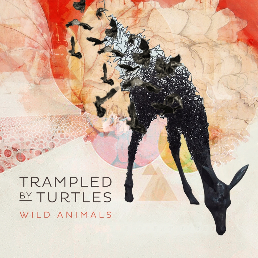 Trampled by Turtles Wild Animals cover artwork