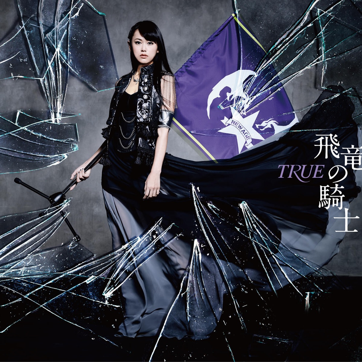 TRUE — Hiryu no Kishi cover artwork