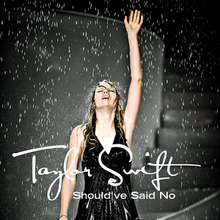 Taylor Swift Should&#039;ve Said No cover artwork