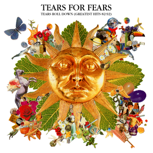 Tears for Fears Tears Roll Down (Greatest Hits 82–92) cover artwork