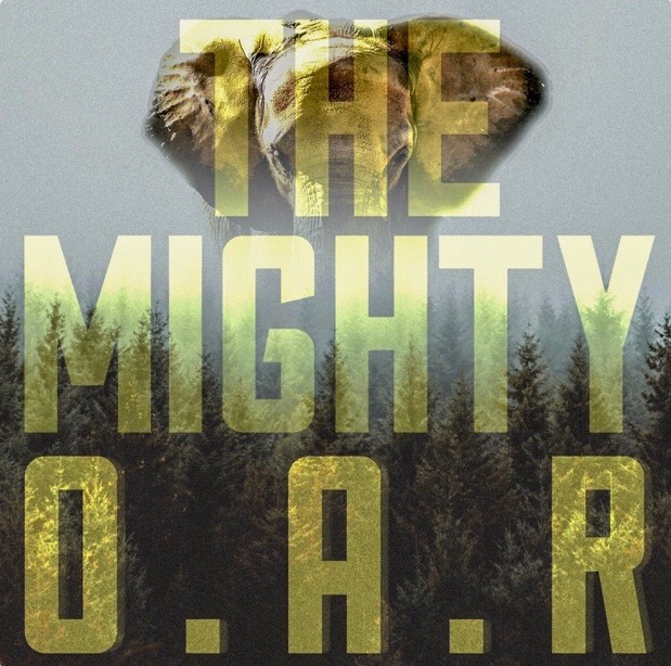 O.A.R. — Knocking At Your Door cover artwork