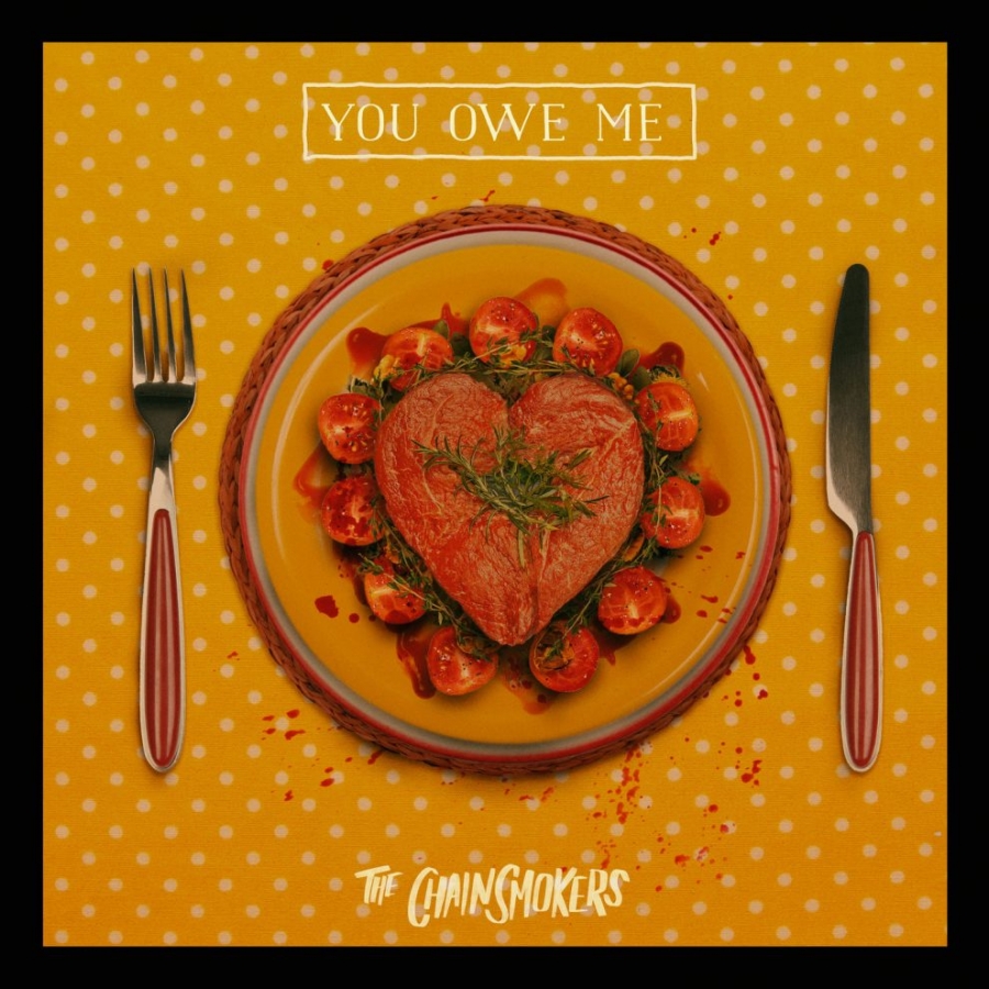 The Chainsmokers — You Owe Me cover artwork