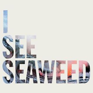 The Drones I See Seaweed cover artwork