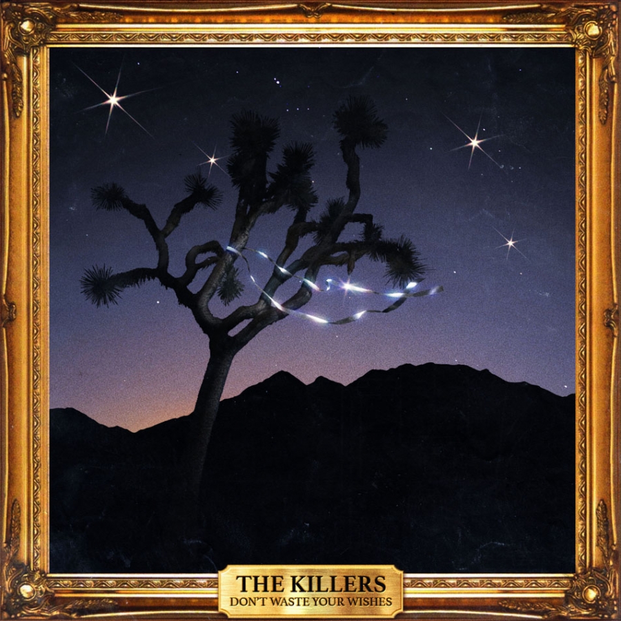 The Killers Don&#039;t Waste Your Wishes cover artwork