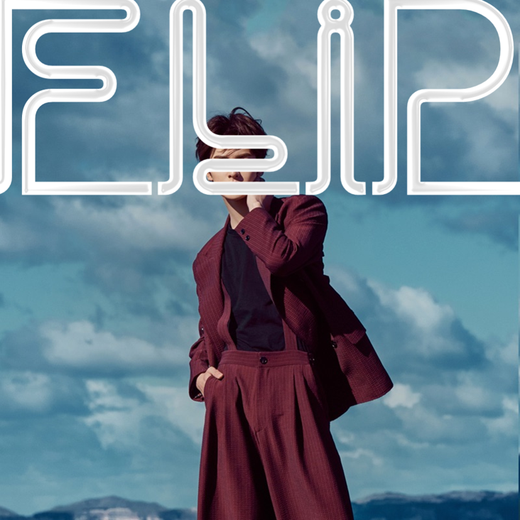 Theo Zhu — Flip cover artwork