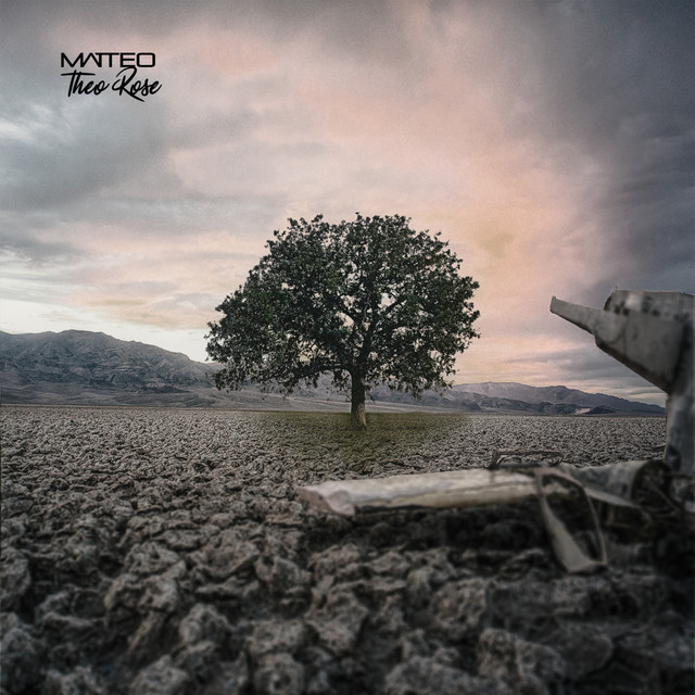Matteo & Theo Rose — Copacul cover artwork