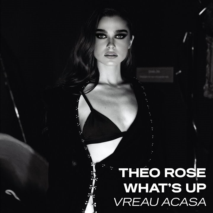 Theo Rose & What&#039;s Up Vreau Acasa cover artwork