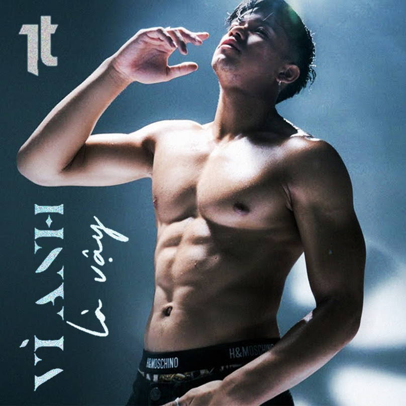 Trong Hieu — Vi Anh La Vay cover artwork