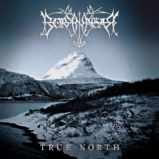 Borknagar True North cover artwork