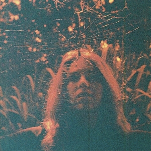 Turnover — Dizzy On the Comedown cover artwork