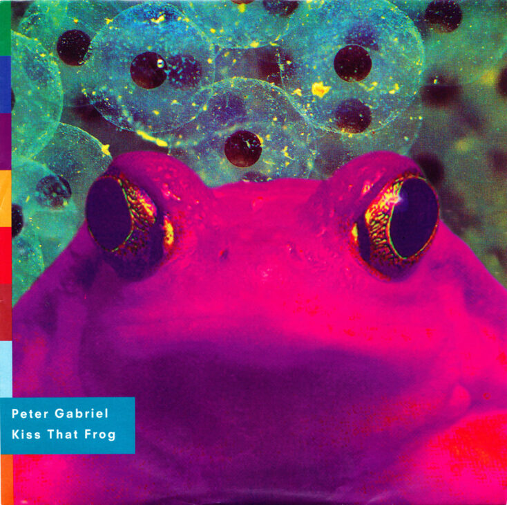 Peter Gabriel — Kiss That Frog cover artwork