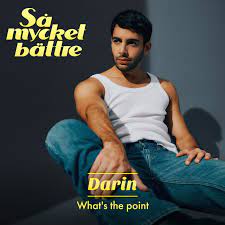 Darin — What&#039;s the Point cover artwork