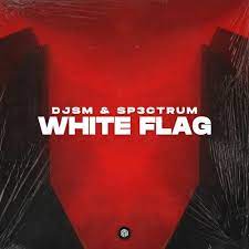 DJSM & SP3CTRUM — White Flag cover artwork