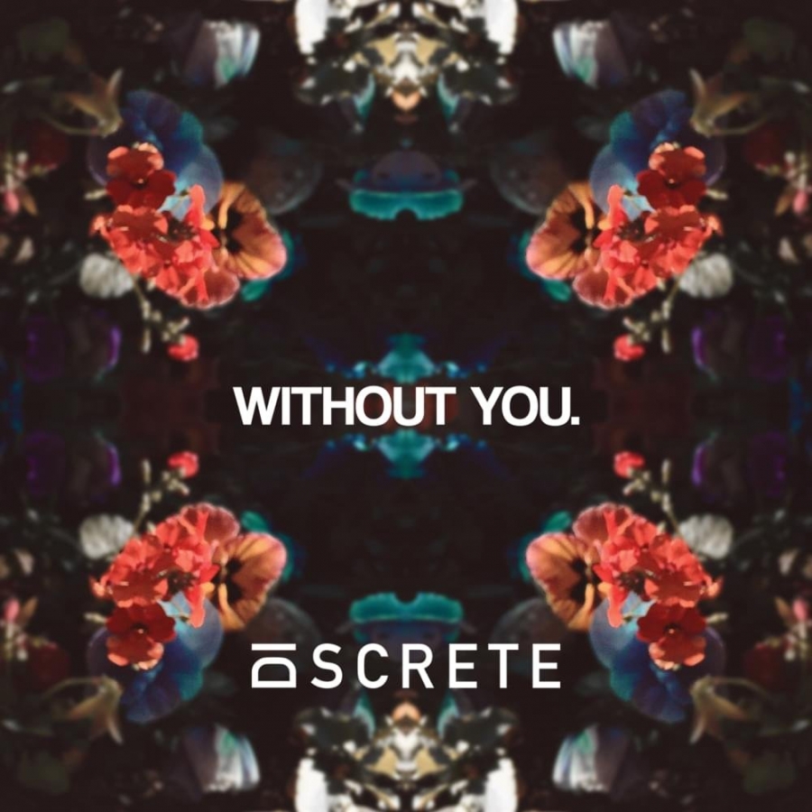 LOCODJ featuring DJ COMBO — Without you - Radio edit cover artwork
